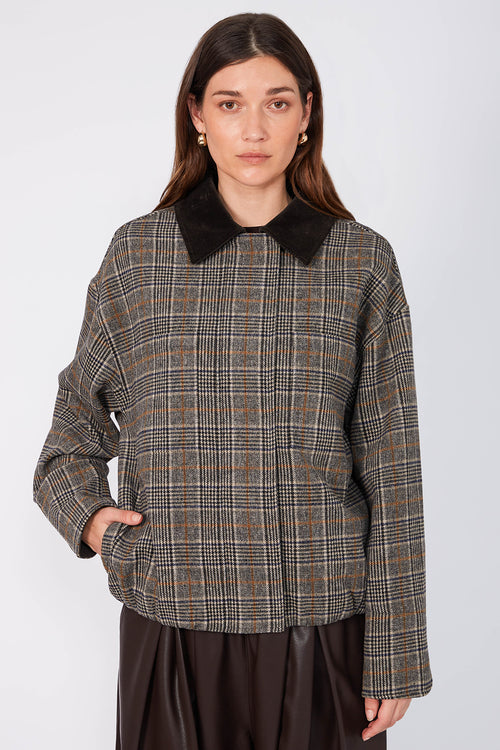 concealment bomber / natural| chocolate| tan