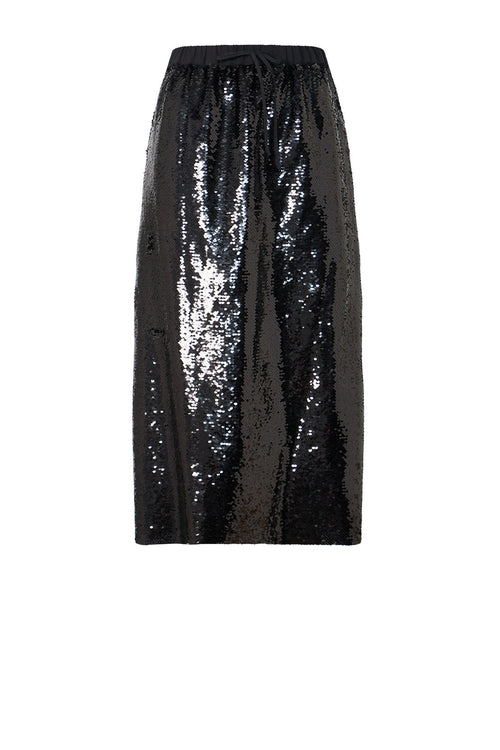 frame sequin skirt / black sequin